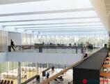 Offices to let in Edif. Flor