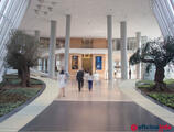 Offices to let in Torre IBERDROLA