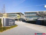 Offices to let in Edificio G Palmas Altas