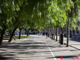 Offices to let in Alta Diagonal 640