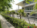 Offices to let in Edificio G Palmas Altas