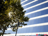 Offices to let in Alta Diagonal 640