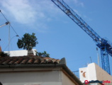 Offices to let in Centro de Negocios Cristina