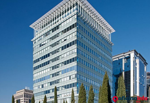 Offices to let in Edificio Retama 7